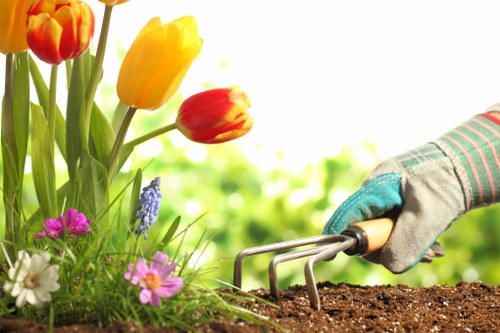 The image depicts a close-up view of a gardening scene in a residential outdoor space, likely in Harlesden, with a person wearing a gardening glove using a small hand rake to cultivate the dark, moist soil in front of a vibrant flower bed. The flower bed features a variety of flowering plants, including red and yellow tulips, white daisies, purple and pink blooms, and a cluster of blue flowers, all set against lush green foliage. The background shows a softly blurred garden environment with bright, natural daylight illuminating the scene, suggesting a sunny day suitable for lawn and garden maintenance. The garden layout includes a well-defined flower bed area adjacent to a lawn with dense, healthy grass, bordered by the planting beds. The overall scene reflects professional gardening work, consistent with landscaping and lawn care services offered by Lawn Mowing Harlesden, embedded within a landscaped yard that combines floral vibrancy and well-maintained greenery in a typical UK suburban setting near Harlesden or surrounding areas.