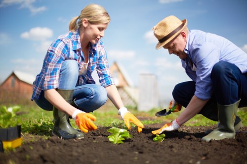A woman and a man working together in a garden, planting young green seedlings in freshly turned, rich dark soil. The woman, wearing a blue plaid shirt, jeans, and orange gardening gloves, is crouched on her knees, carefully placing a plant into the ground. The man, dressed in a light blue shirt, dark trousers, a straw hat, and green rubber boots, is also kneeling, using his hands to position another plant. Behind them, the garden features a well-maintained lawn, a variety of shrubs, and a paved patio area with garden tools visible nearby. The sky is bright and partly cloudy, suggesting a sunny day suitable for outdoor gardening. The garden setting appears tidy and cultivated, with a natural color palette of greens, browns, and blues, enhancing the visual connection to professional gardening and landscaping services offered by Lawn Mowing Harlesden in the London NW10 area.