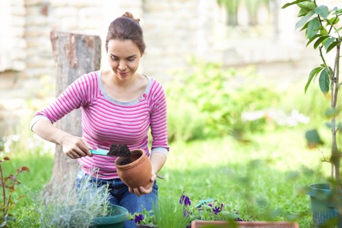 Seasonal lawn care tips for a healthy garden